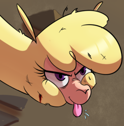 Size: 377x381 | Tagged: safe, artist:hitsuji, imported from derpibooru, paprika paca, alpaca, them's fightin' herds, angry, blood, bust, community related, looking up, paprika (tfh), portrait, raspberry, reaction image, solo, tongue out