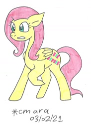 Size: 942x1286 | Tagged: safe, artist:cmara, imported from derpibooru, fluttershy, pegasus, pony, female, mare, raised hoof, simple background, solo, traditional art, white background