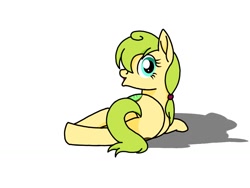 Size: 1024x768 | Tagged: safe, artist:windy breeze, imported from derpibooru, oc, oc only, earth pony, pony, both cutie marks, butt, female, food, kiwi (fruit), looking back, lying down, mare, not apple fritter, on side, plot, shadow, side, simple background, solo, white background