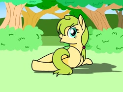Size: 1024x768 | Tagged: safe, artist:windy breeze, imported from derpibooru, oc, oc only, earth pony, pony, both cutie marks, bush, butt, dock, female, kiwi (fruit), looking back, lying down, mare, on back, on side, plot, shadow, solo, tree