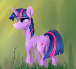 Size: 3022x2744 | Tagged: safe, artist:770418gyygy, imported from derpibooru, twilight sparkle, pony, unicorn, female, grass, high res, mare, solo, unicorn twilight