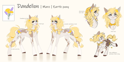 Size: 9000x4504 | Tagged: safe, artist:ohhoneybee, imported from derpibooru, oc, oc only, oc:dandelion, earth pony, pony, heterochromia, reference sheet, solo