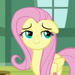 Size: 1080x1080 | Tagged: safe, imported from derpibooru, screencap, fluttershy, pegasus, pony, fluttershy leans in, cropped, cute, female, floppy ears, folded wings, lidded eyes, mare, shyabetes, smiling, smug, solo, wings