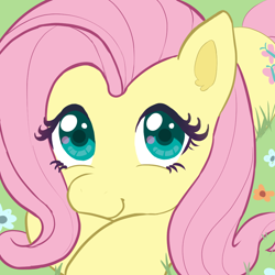 Size: 1000x1000 | Tagged: safe, artist:podiponi, imported from derpibooru, fluttershy, pegasus, pony, close-up, cute, daaaaaaaaaaaw, female, flower, grass, lying down, mare, prone, shyabetes, smiling, solo