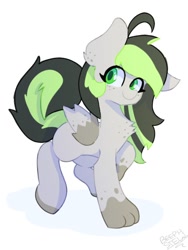 Size: 768x1024 | Tagged: safe, artist:beephstew_, imported from derpibooru, oc, oc only, oc:bree, oc:bree jetpaw, dog, dog pony, pegasus, :ocbree jetpaw, cowlick, freckles, paws, pegamutt, solo, spots