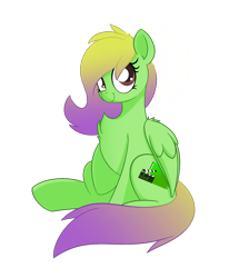 Size: 1472x1784 | Tagged: safe, artist:allyster-black, imported from derpibooru, oc, oc only, pegasus, pony, derpibooru community collaboration, 2022 community collab, female, mare, solo, two toned mane, two toned tail
