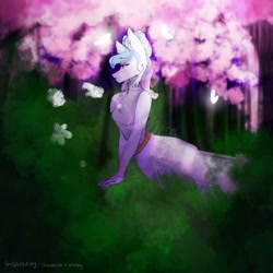 Size: 1024x1024 | Tagged: safe, artist:yoonah, imported from derpibooru, oc, oc only, anthro, earth pony, cherry blossoms, cherry tree, earth pony oc, flower, flower blossom, outdoors, solo, tree