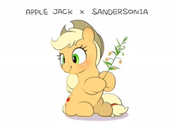 Size: 2048x1446 | Tagged: safe, artist:mochi_nation, imported from derpibooru, applejack, earth pony, pony, blushing, cute, female, flower, jackabetes, mare, sandersonia, simple background, sitting, solo, white background