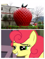 Size: 3106x4096 | Tagged: safe, imported from derpibooru, strawberry sunrise, food, irl, miaoli, photo, strawberry, taiwan