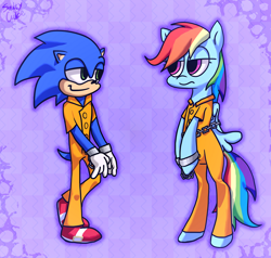 Size: 1200x1140 | Tagged: safe, artist:saltycube, imported from derpibooru, rainbow dash, pegasus, pony, abstract background, clothes, commission, crossover, cuffs, duo, female, handcuffed, male, mare, prison outfit, simple background, sonic the hedgehog, sonic the hedgehog (series)