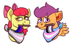 Size: 512x337 | Tagged: safe, artist:artwing74, imported from derpibooru, apple bloom, scootaloo, earth pony, pegasus, pony, asexual, asexual pride flag, bisexual, bisexual pride flag, cropped, demigirl, demigirl pride flag, gender headcanon, headcanon, lgbt headcanon, male, pride, pride flag, sexuality headcanon, simple background, trans male, trans stallion scootaloo, transgender, transgender pride flag, transparent background