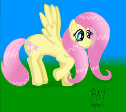 Size: 900x800 | Tagged: safe, artist:yueloverforever, imported from derpibooru, fluttershy, pegasus, pony, solo