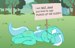 Size: 6435x4180 | Tagged: safe, anonymous artist, imported from derpibooru, lyra heartstrings, pony, unicorn, /mlp/, drawthread, eyes closed, female, l.u.l.s., mare, ponified animal photo, sign, sleeping, solo