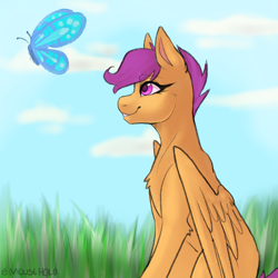 Size: 2048x2048 | Tagged: safe, artist:holomouse, imported from derpibooru, scootaloo, butterfly, pegasus, pony, solo