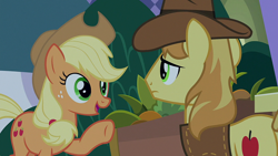 Size: 1920x1080 | Tagged: safe, imported from derpibooru, screencap, applejack, braeburn, earth pony, pony, the summer sun setback, female, male, mare, stallion