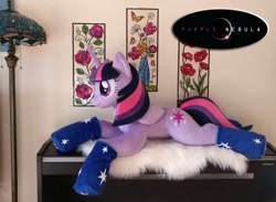 Size: 915x670 | Tagged: safe, artist:purplenebulastudios, imported from derpibooru, twilight sparkle, alicorn, pony, clothes, irl, photo, plushie, prine, socks, solo, twilight sparkle (alicorn)