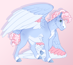 Size: 2000x1800 | Tagged: safe, artist:seffiron, imported from derpibooru, oc, oc only, oc:cloud jumper, pegasus, pony, colored wings, magical lesbian spawn, male, multicolored wings, offspring, parent:pinkie pie, parent:rainbow dash, parents:pinkiedash, solo, stallion, wings