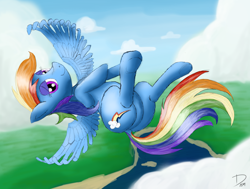 Size: 4840x3660 | Tagged: safe, artist:dhm, imported from derpibooru, rainbow dash, pegasus, pony, cloud, cute, flying