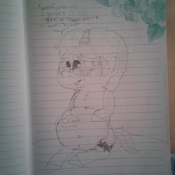 Size: 1536x1536 | Tagged: safe, artist:xxcherryjapansxx, imported from derpibooru, oc, oc only, pony, unicorn, blushing, fat, glasses, horn, lined paper, talking, traditional art, unicorn oc