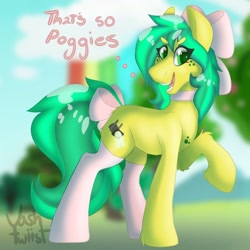 Size: 1200x1200 | Tagged: safe, artist:vashtwiist, imported from derpibooru, oc, oc only, oc:sun drop, earth pony, pony, background, bow, clothes, pogchamp, poggers, socks, solo