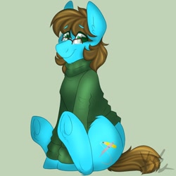 Size: 1200x1200 | Tagged: safe, artist:vashtwiist, imported from derpibooru, oc, oc only, oc:modular, earth pony, pony, clothes, earth pony oc, glasses, solo, sweater