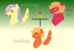 Size: 2600x1800 | Tagged: safe, artist:akajulester, imported from derpibooru, big macintosh, fluttershy, oc, oc:goldfinch, earth pony, pegasus, pony, alternate universe, beard, colt, facial hair, family tree, female, floating wings, fluttermac, gradient background, male, mare, offspring, parent:big macintosh, parent:fluttershy, parents:fluttermac, shipping, stallion, straight, wings