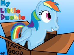 Size: 4032x3024 | Tagged: safe, artist:mudkip91/tetrahedron, imported from derpibooru, rainbow dash, pegasus, pony, fanfic:my little dashie, box, cardboard box, colorful, cute, cutie mark, dashabetes, grin, lighting, pony in a box, shading, smiling, title