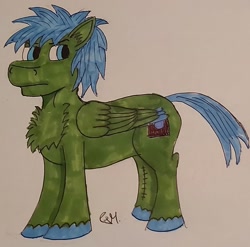 Size: 1749x1726 | Tagged: safe, artist:rapidsnap, imported from derpibooru, oc, oc only, oc:rapidsnap, pony, chest fluff, scar, solo, traditional art