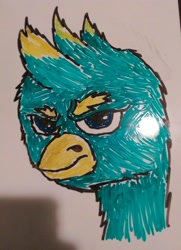 Size: 2226x3080 | Tagged: safe, imported from derpibooru, gallus, avian, griffon, :c, >:c, angry, beak, bust, dry erase board, frown, glare, marker drawing, mohawk, portrait, quality, scowl, spiky hair, traditional art