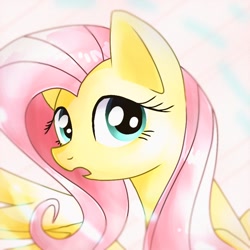 Size: 768x768 | Tagged: safe, artist:namaenonaipony, imported from derpibooru, fluttershy, pegasus, pony, cute, daaaaaaaaaaaw, female, mare, shyabetes, solo