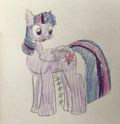 Size: 1046x1080 | Tagged: safe, artist:powerpup97, imported from derpibooru, twilight sparkle, alicorn, pony, hunger, hungry, sketch, solo, starving, stomach growl, stomach noise, traditional art, twilight sparkle (alicorn)