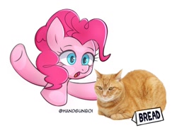 Size: 1500x1147 | Tagged: safe, artist:handgunboi, imported from derpibooru, pinkie pie, cat, earth pony, pony, bread, catloaf, food, sign, simple background, white background