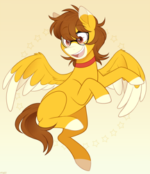 Size: 950x1100 | Tagged: safe, artist:higgly-chan, imported from derpibooru, oc, oc only, pegasus, pony, choker, coat markings, facial markings, glasses, markings, snip (coat marking), solo, two toned wings, wings
