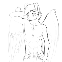 Size: 1200x1200 | Tagged: safe, artist:d-lowell, imported from ponybooru, oc, oc only, anthro, pegasus, abs, black and white, clothes, grayscale, looking at you, male, monochrome, pants, partial nudity, sketch, solo, spread wings, stallion, topless, wings