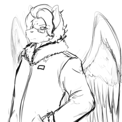 Size: 1200x1200 | Tagged: safe, artist:d-lowell, oc, oc only, oc:summer lights, anthro, pegasus, black and white, clothes, coat, glasses, grayscale, male, monochrome, older, pegasus oc, sketch, solo, spread wings, stallion, wings