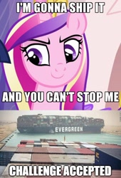 Size: 500x737 | Tagged: safe, edit, edited screencap, imported from derpibooru, screencap, princess cadance, games ponies play, season 3, challenge accepted, container ship, current events, ever given, ever given (container ship), evergreen marine corporation, irl, meme, photo, pun, suez canal, visual pun