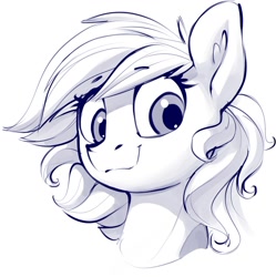 Size: 1249x1255 | Tagged: safe, artist:dimfann, imported from derpibooru, oc, oc only, pony, bust, looking at you, portrait, sketch, smiling