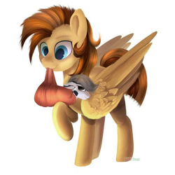 Size: 720x720 | Tagged: artist needed, source needed, safe, imported from ponybooru, oc, oc only, pegasus, pony, foal, large wings, mouth hold, raised hoof, raised leg, simple background, white background, wings