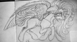 Size: 1024x566 | Tagged: safe, artist:maryhoovesfield, imported from derpibooru, oc, oc only, pegasus, pony, ear fluff, grayscale, lineart, monochrome, pegasus oc, signature, solo, traditional art, wings