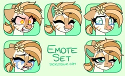 Size: 1532x932 | Tagged: safe, artist:sickly-sour, imported from derpibooru, oc, oc only, oc:bombay colada, pony, zebra, angry, crying, emotes, female, flower, flower in hair, happy, mare, tired