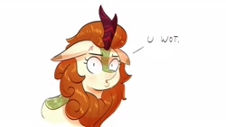 Size: 1920x1080 | Tagged: safe, artist:another_pony, imported from derpibooru, autumn blaze, kirin, cross-popping veins, dialogue, floppy ears, looking at you, reaction image, shrunken pupils, simple background, solo, u wot m8, white background, wide eyes