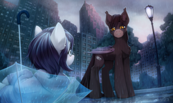 Size: 3500x2100 | Tagged: safe, artist:inowiseei, imported from derpibooru, oc, oc only, oc:kadai, oc:rainfall bloom, bat pony, earth pony, pony, bat pony oc, bat wings, building, chest fluff, city, clothes, commission, cutie mark, detailed background, duo, female, high res, hoodie, lamppost, male, park, pun, rain, scenery, tree, umbrella, visual pun, wings