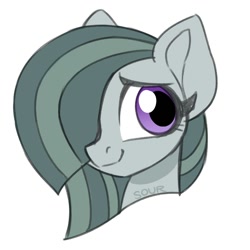 Size: 1000x1000 | Tagged: safe, artist:sickly-sour, imported from derpibooru, marble pie, earth pony, pony, female, head only, mare, simple background, solo, white background