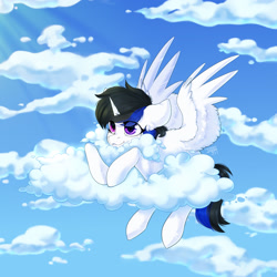 Size: 1672x1669 | Tagged: safe, artist:shini951, artist:shinizavr, imported from derpibooru, oc, oc only, pegasus, pony, cloud, commission, sky, solo, ych result