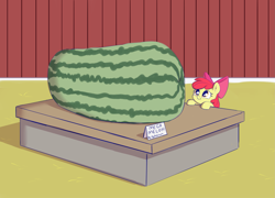 Size: 2835x2043 | Tagged: safe, artist:heretichesh, imported from derpibooru, apple bloom, earth pony, pony, adorabloom, apple bloom's bow, barn, bow, cute, female, filly, food, giant food, giant watermelon, hair bow, happy, melon, proud, sign, smiling, solo, text, watermelon