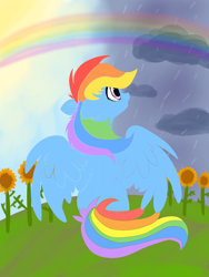 Size: 1500x2000 | Tagged: safe, artist:lrivulet, artist:zoran, imported from derpibooru, rainbow dash, pony, bipolar, depression, flower, mental illness, psychology, rain, rainbow, solo, sunflower, sunlight, sunny