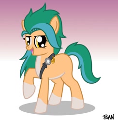 Size: 1190x1217 | Tagged: safe, artist:banquo0, imported from derpibooru, hitch trailblazer, earth pony, pony, badge, blaze (coat marking), coat markings, facial markings, female, g5, gradient background, harness pathfinder, looking at you, open mouth, raised hoof, rule 63, simple background, socks (coat markings), solo, unshorn fetlocks