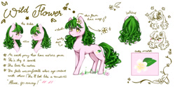 Size: 1280x640 | Tagged: safe, artist:hapinkie, imported from derpibooru, oc, earth pony, pony, reference sheet