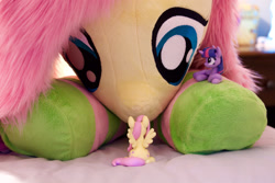 Size: 1800x1200 | Tagged: safe, artist:fluttershyhiker, artist:natureshy, artist:qtpony, imported from derpibooru, fluttershy, twilight sparkle, pony, irl, photo, plushie, self ponidox, size difference, toy