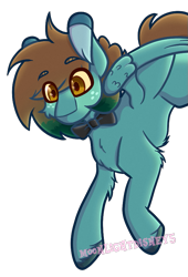 Size: 585x860 | Tagged: safe, artist:moonlightdisney5, artist:thatonefluffs, imported from derpibooru, oc, oc only, oc:feather bloom, pegasus, pony, bowtie, eyebrows, fluffy, freckles, simple background, solo, transparent background, unshorn fetlocks, watermark